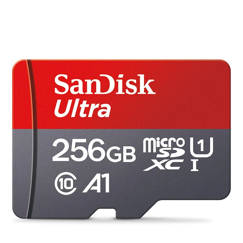 SanDisk Micro SD Card