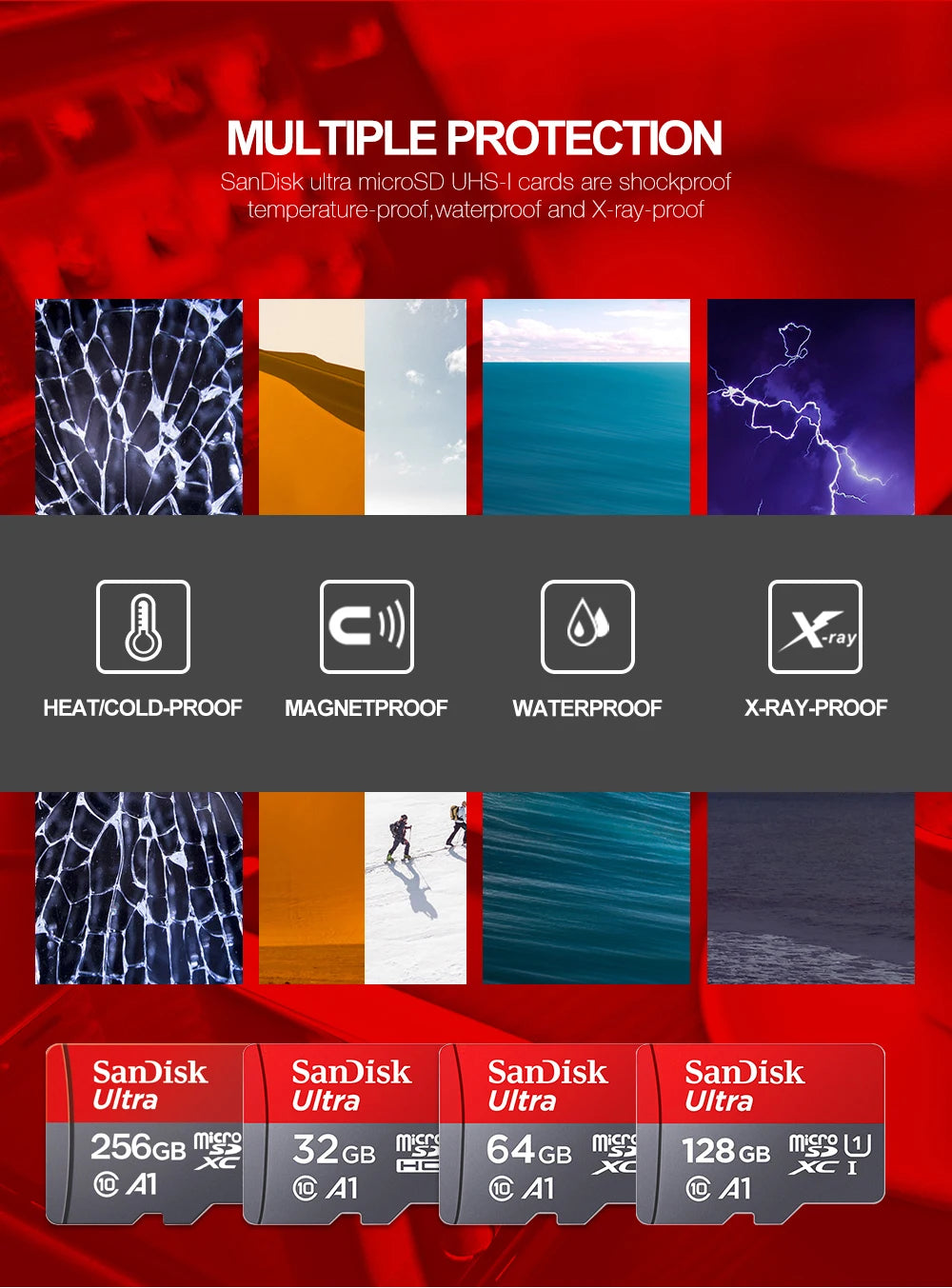 SanDisk Micro SD Card