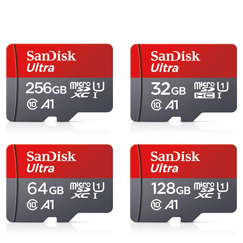 SanDisk Micro SD Card