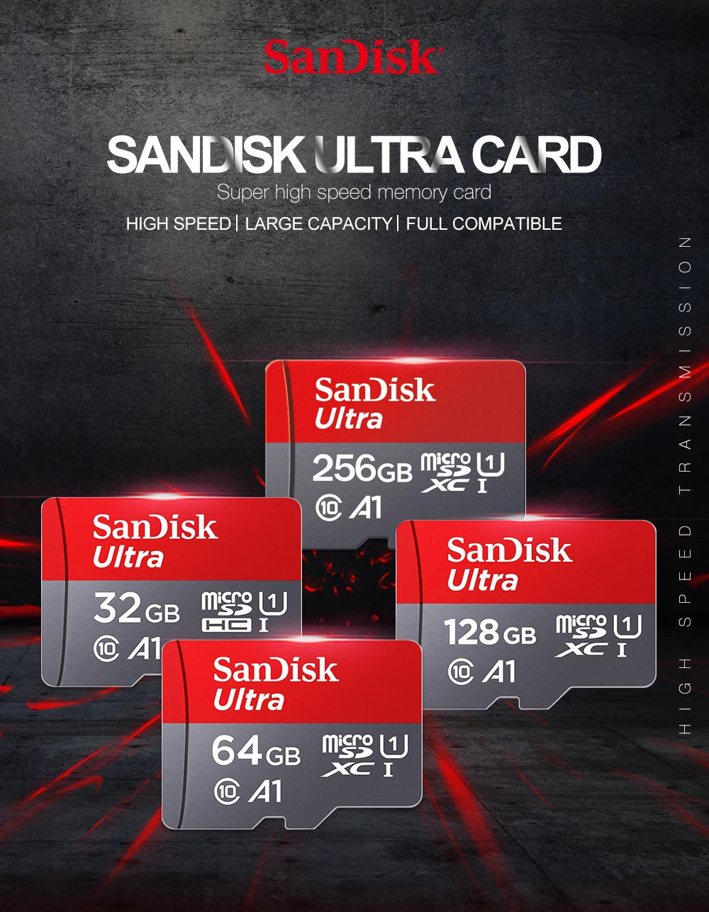 SanDisk Micro SD Card