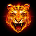 2PCS LED automotive universal retrofit welcome light induction turn on angel wing Lima tiger skull projector ground lighting